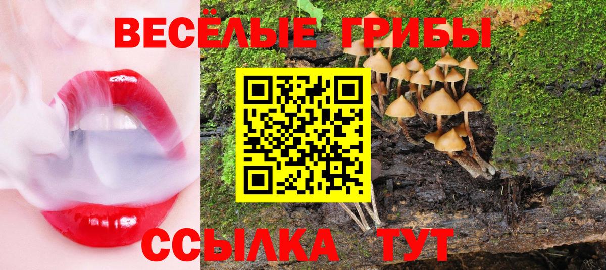 Псков  Псилоцибиновые грибы Psilocybe  Вход с VPN  Псилоцибиновые грибы ЛСД 