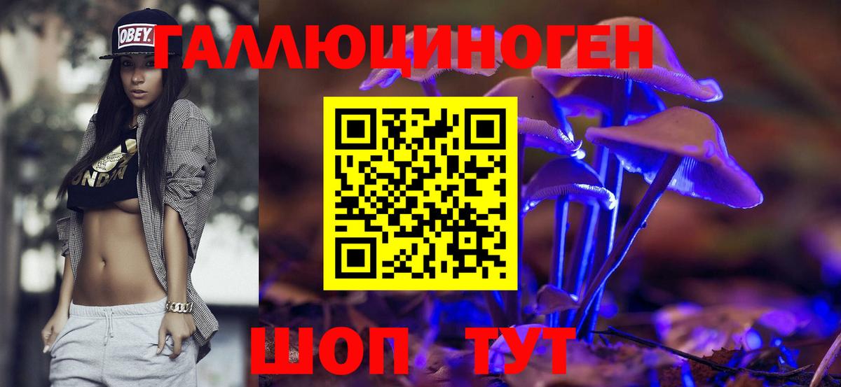 Галлюциногенные грибы Cubensis Псков